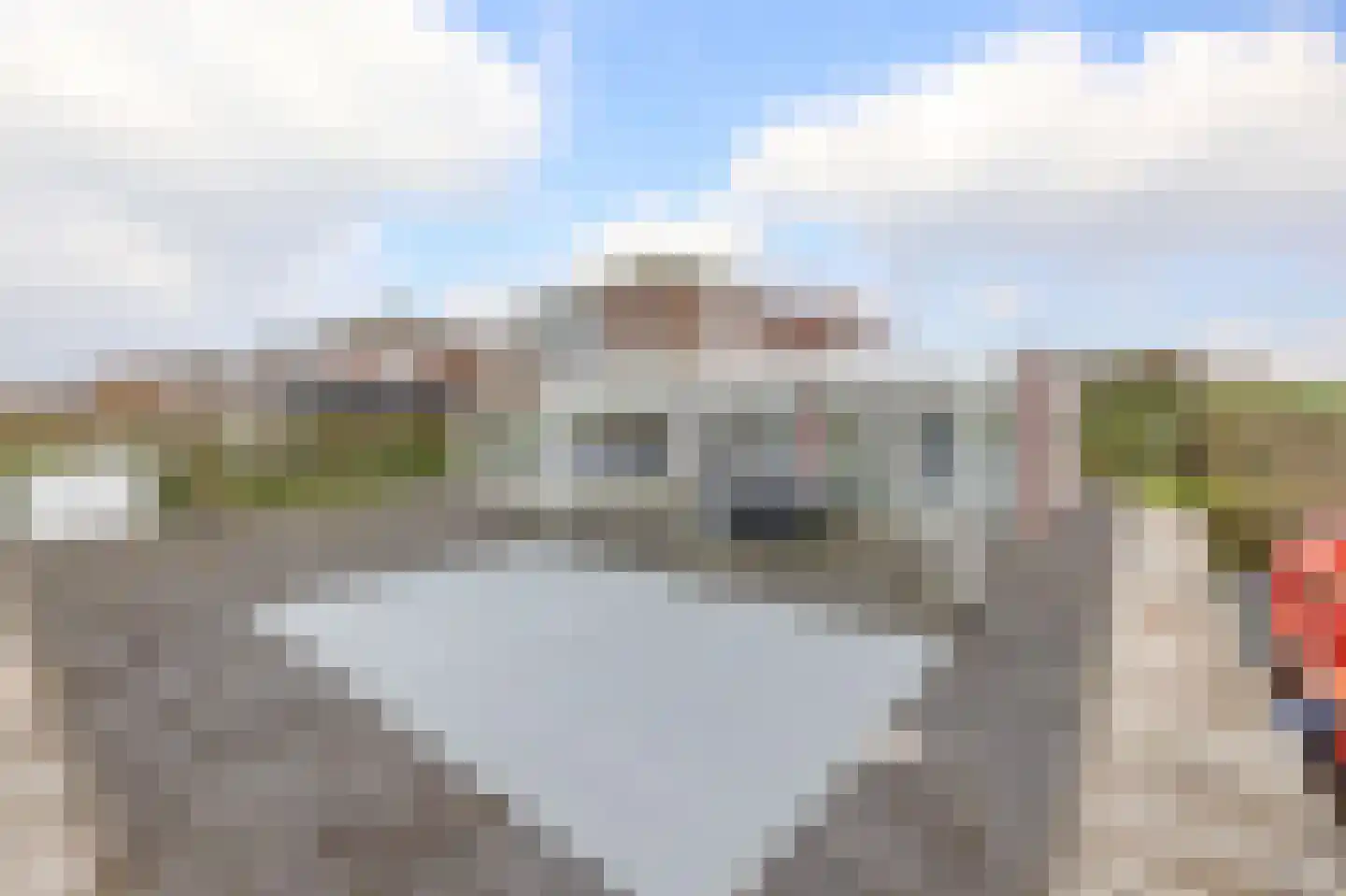 Suisendijk 14 33 Oude-Tonge thumbnail 7