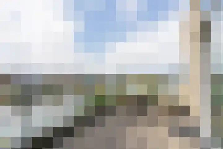 Suisendijk 14 59 Oude-Tonge thumbnail 14