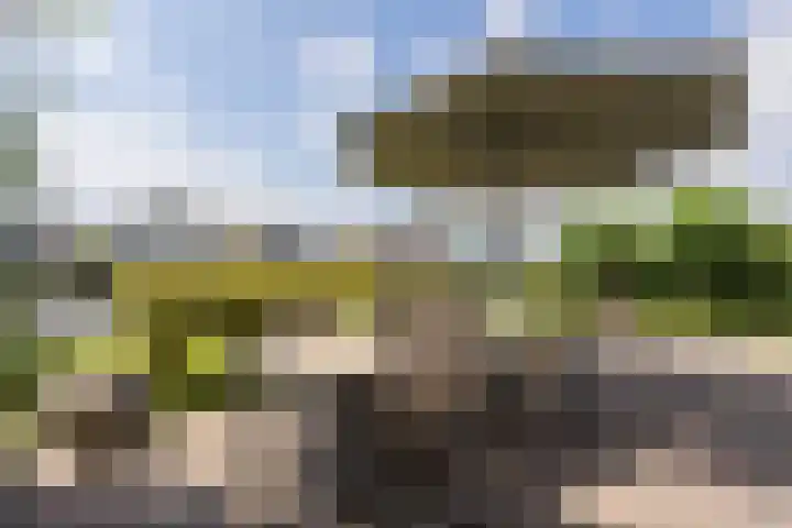 Suisendijk 14 59 Oude-Tonge thumbnail 15