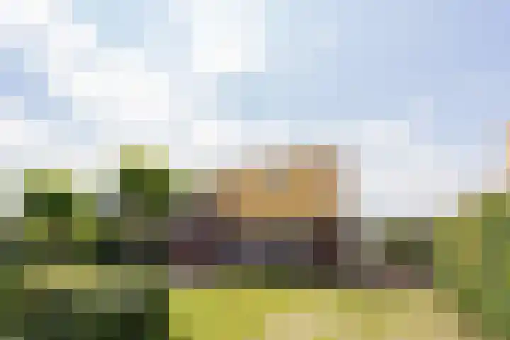 Suisendijk 14 59 Oude-Tonge thumbnail 4