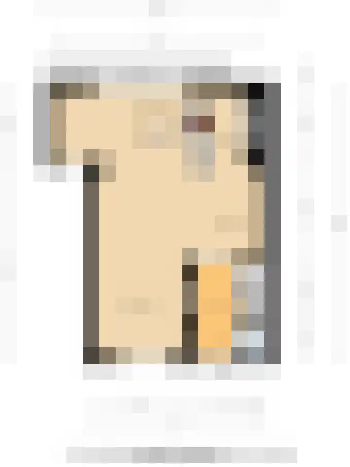 Suitbertusstraat 13 Oudheusden thumbnail 13