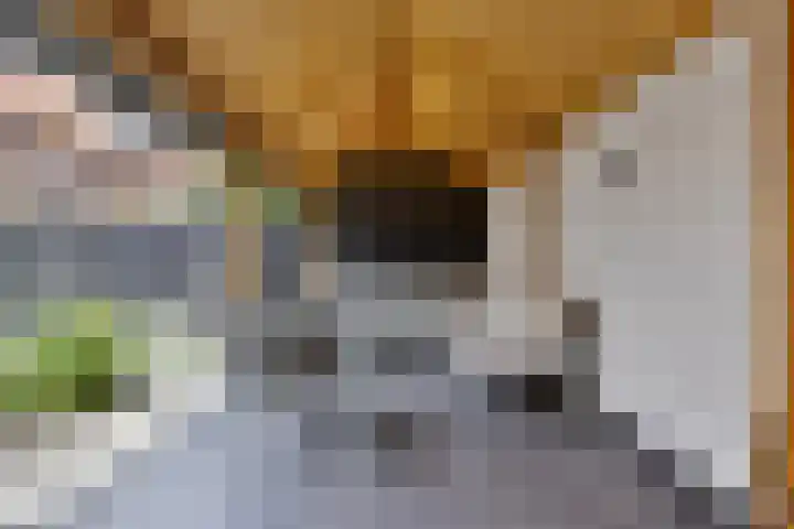 Suitbertusstraat 13 Oudheusden thumbnail 31