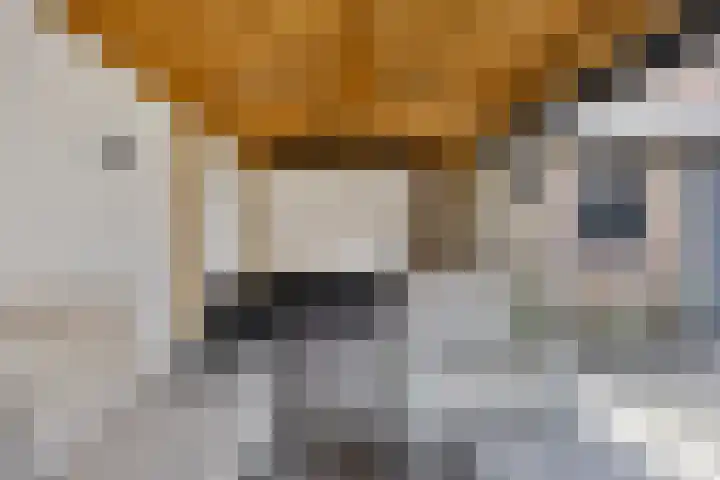 Suitbertusstraat 13 Oudheusden thumbnail 32