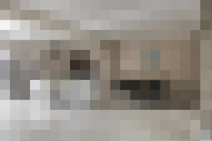 Suitbertusstraat 13 Oudheusden thumbnail 4