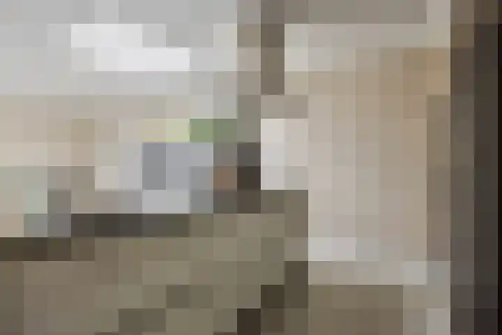 Suitbertusstraat 13 Oudheusden thumbnail 5