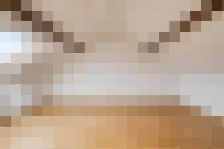 Suitbertusstraat 39 Oudheusden thumbnail 22