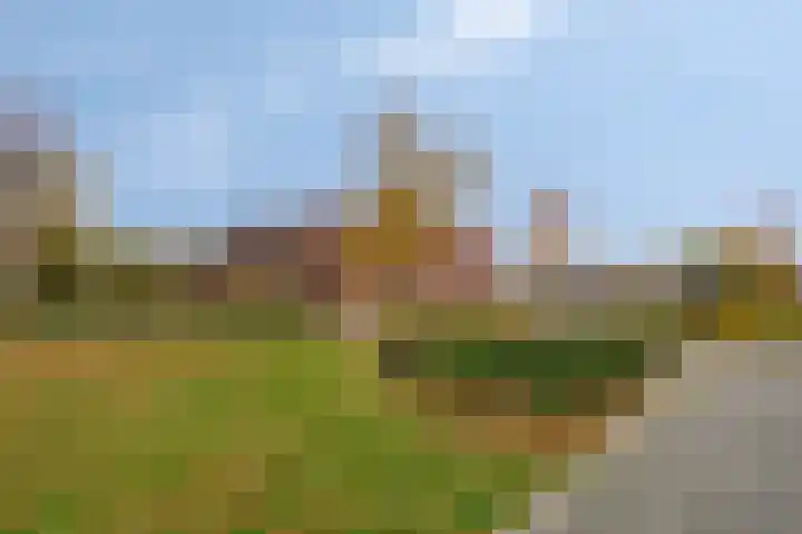 Suitbertusstraat 39 Oudheusden thumbnail 30