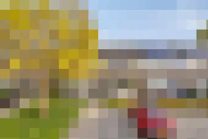 Suitbertusstraat 39 Oudheusden thumbnail 5
