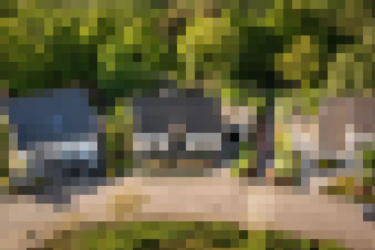 Suite 18 Zwijndrecht thumbnail 15