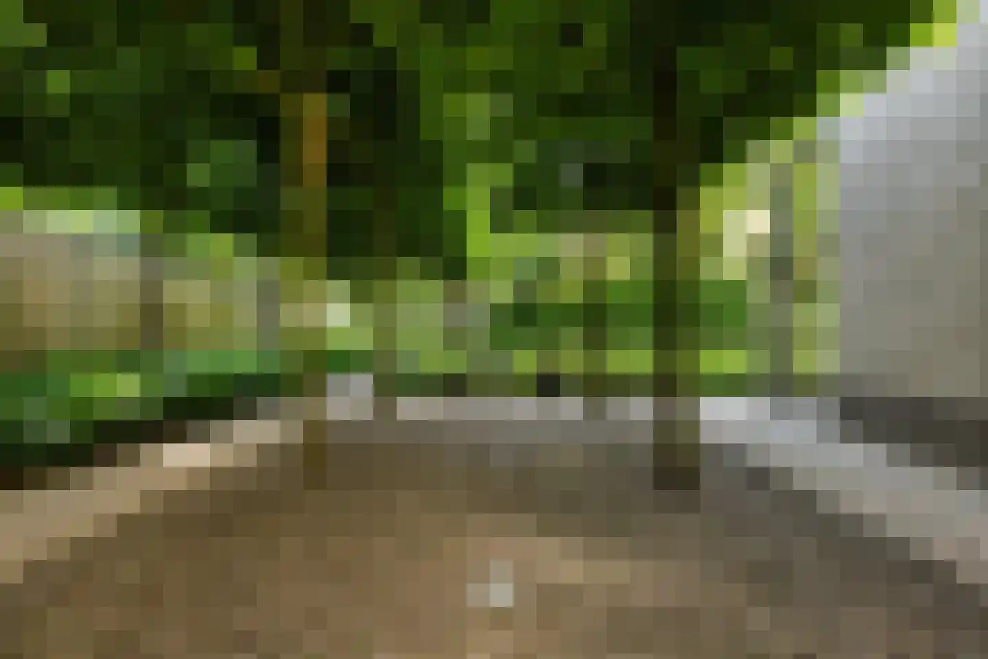 Suite 18 Zwijndrecht thumbnail 39