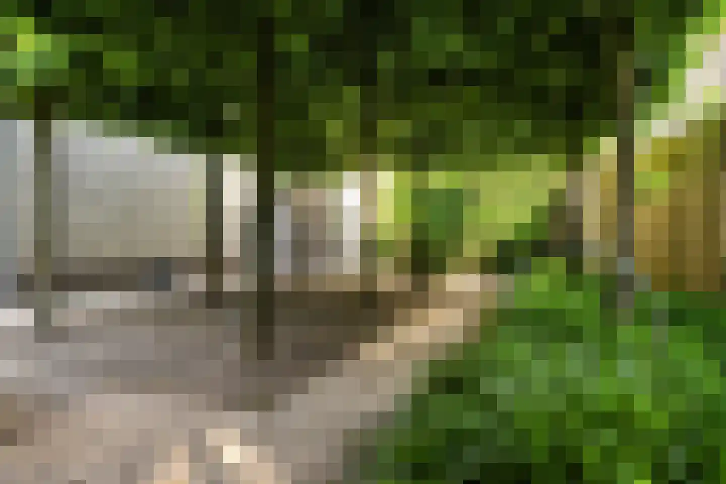 Suite 18 Zwijndrecht thumbnail 45