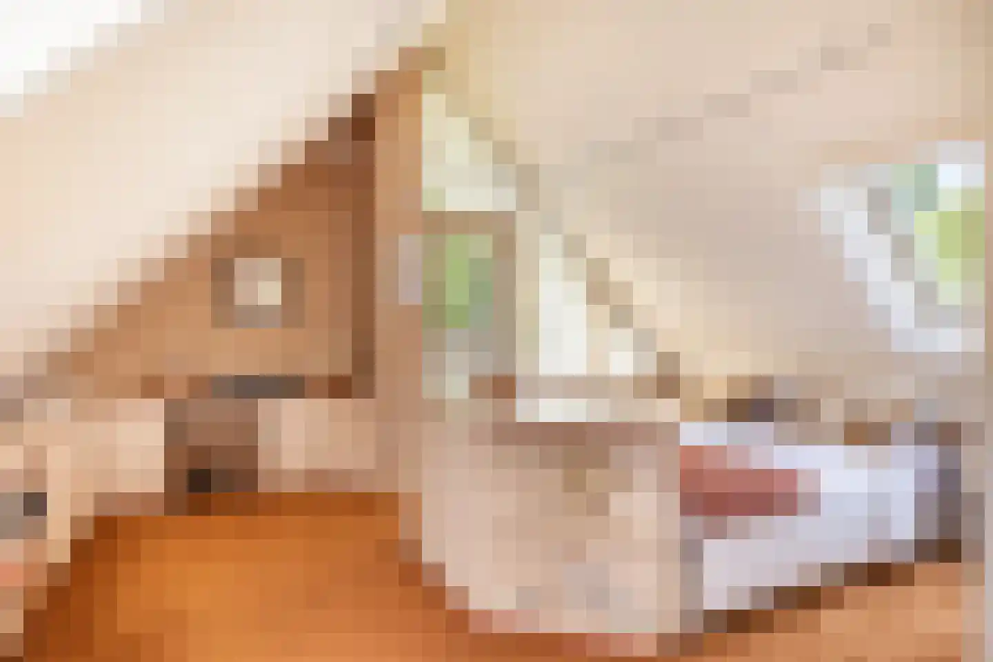 Suite 18 Zwijndrecht thumbnail 56