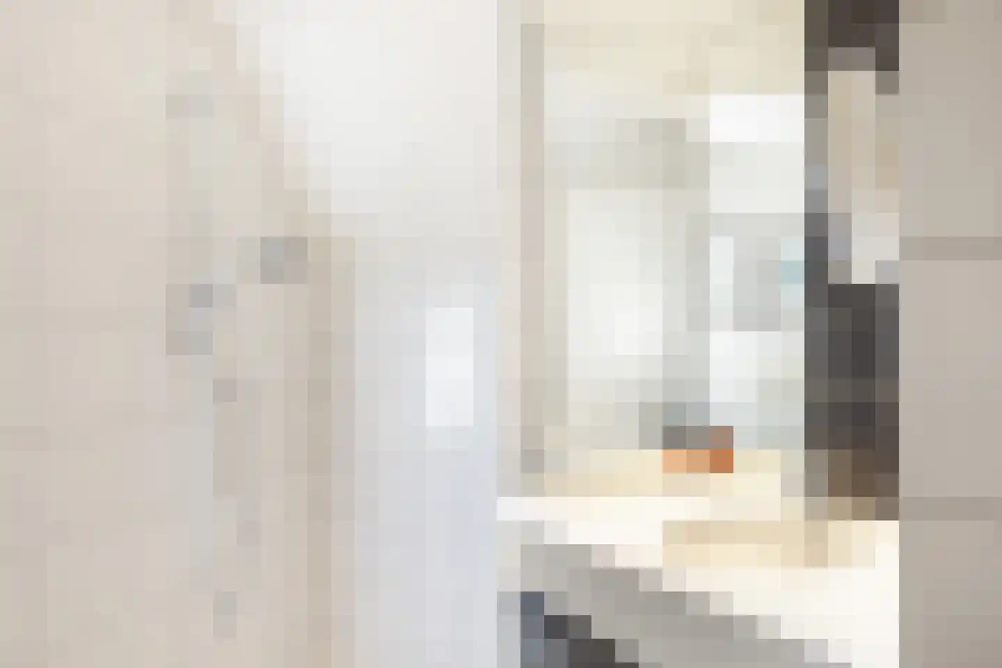 Suite 18 Zwijndrecht thumbnail 60