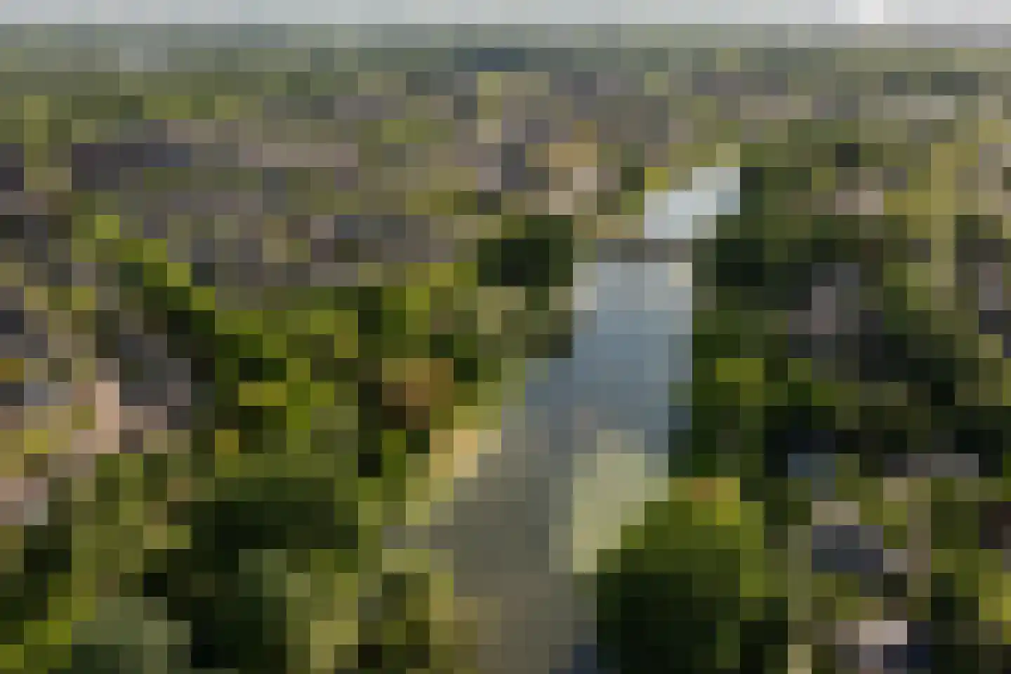 Suite 18 Zwijndrecht thumbnail 68