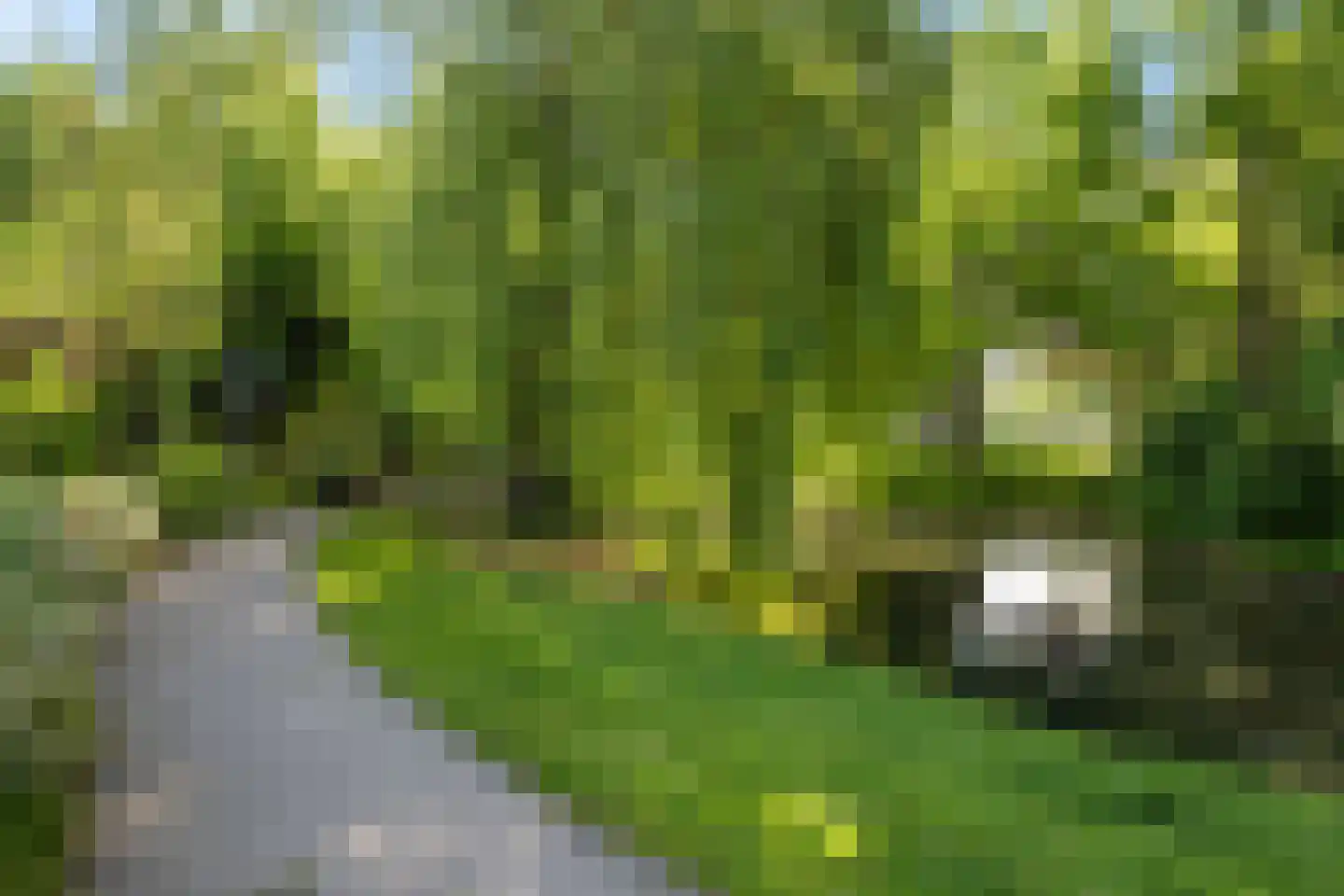Suite 18 Zwijndrecht thumbnail 69
