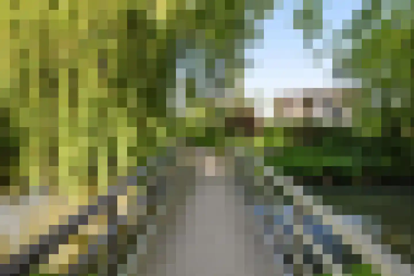 Suite 18 Zwijndrecht thumbnail 71