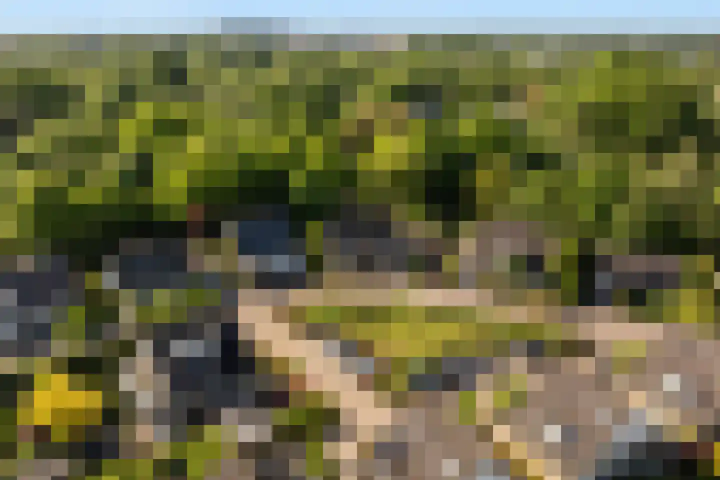 Suite 18 Zwijndrecht thumbnail 8