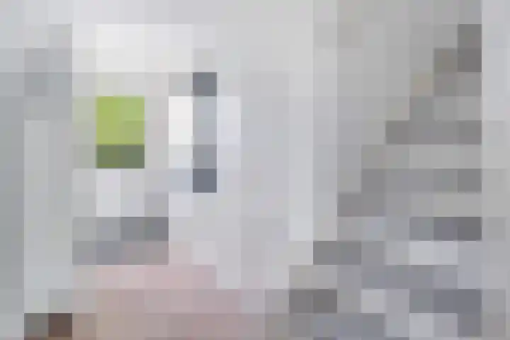 Suite 35 Zwijndrecht thumbnail 14