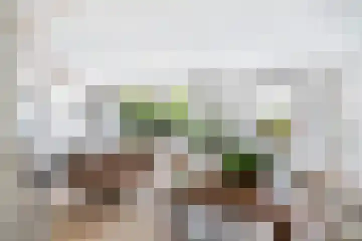 Suite 35 Zwijndrecht thumbnail 17