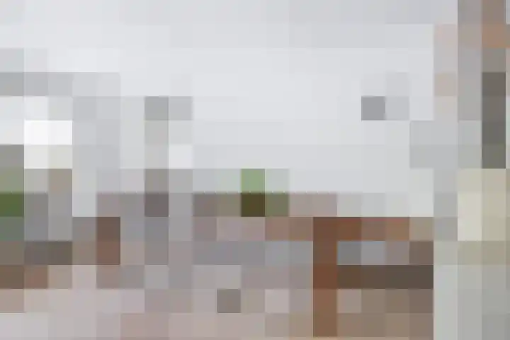 Suite 35 Zwijndrecht thumbnail 21