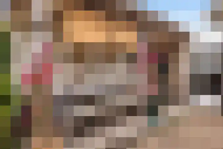 Suite 35 Zwijndrecht thumbnail 31