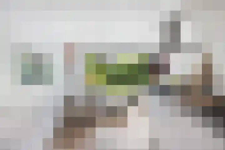 Suite 35 Zwijndrecht thumbnail 36