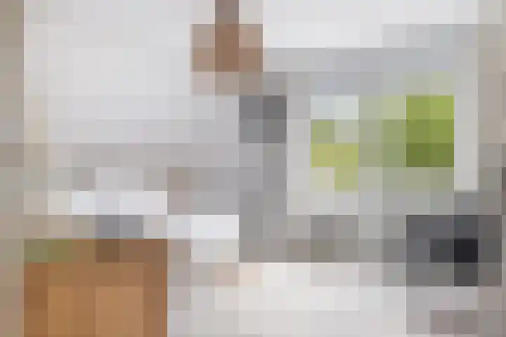 Suite 35 Zwijndrecht thumbnail 42