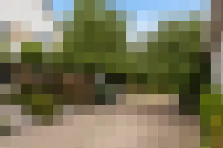 Suite 35 Zwijndrecht thumbnail 5