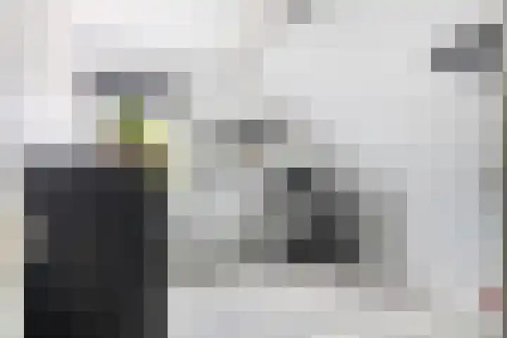 Suite 35 Zwijndrecht thumbnail 50