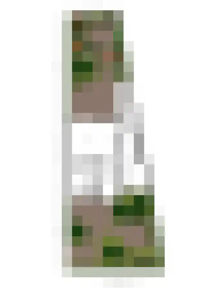 Suite 35 Zwijndrecht thumbnail 59