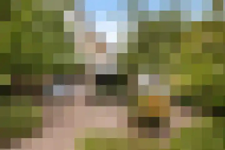 Suite 35 Zwijndrecht thumbnail 6