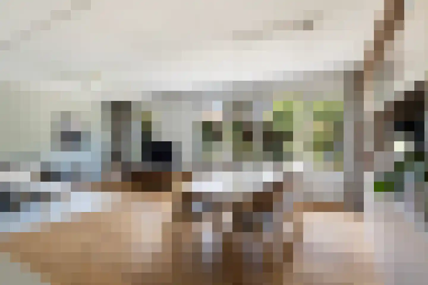 Suite 41 Zwijndrecht thumbnail 10