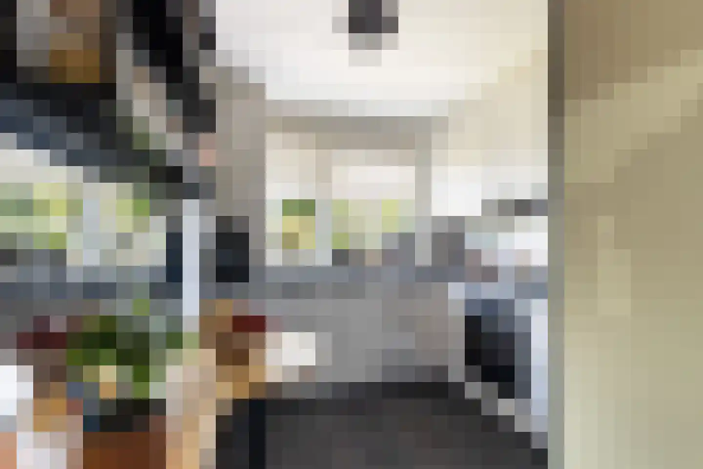Suite 41 Zwijndrecht thumbnail 13