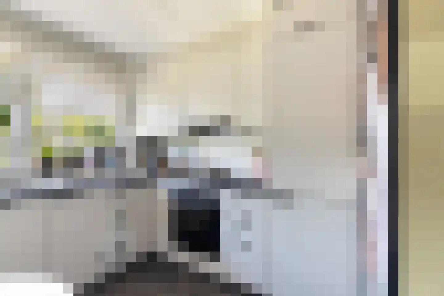 Suite 41 Zwijndrecht thumbnail 15
