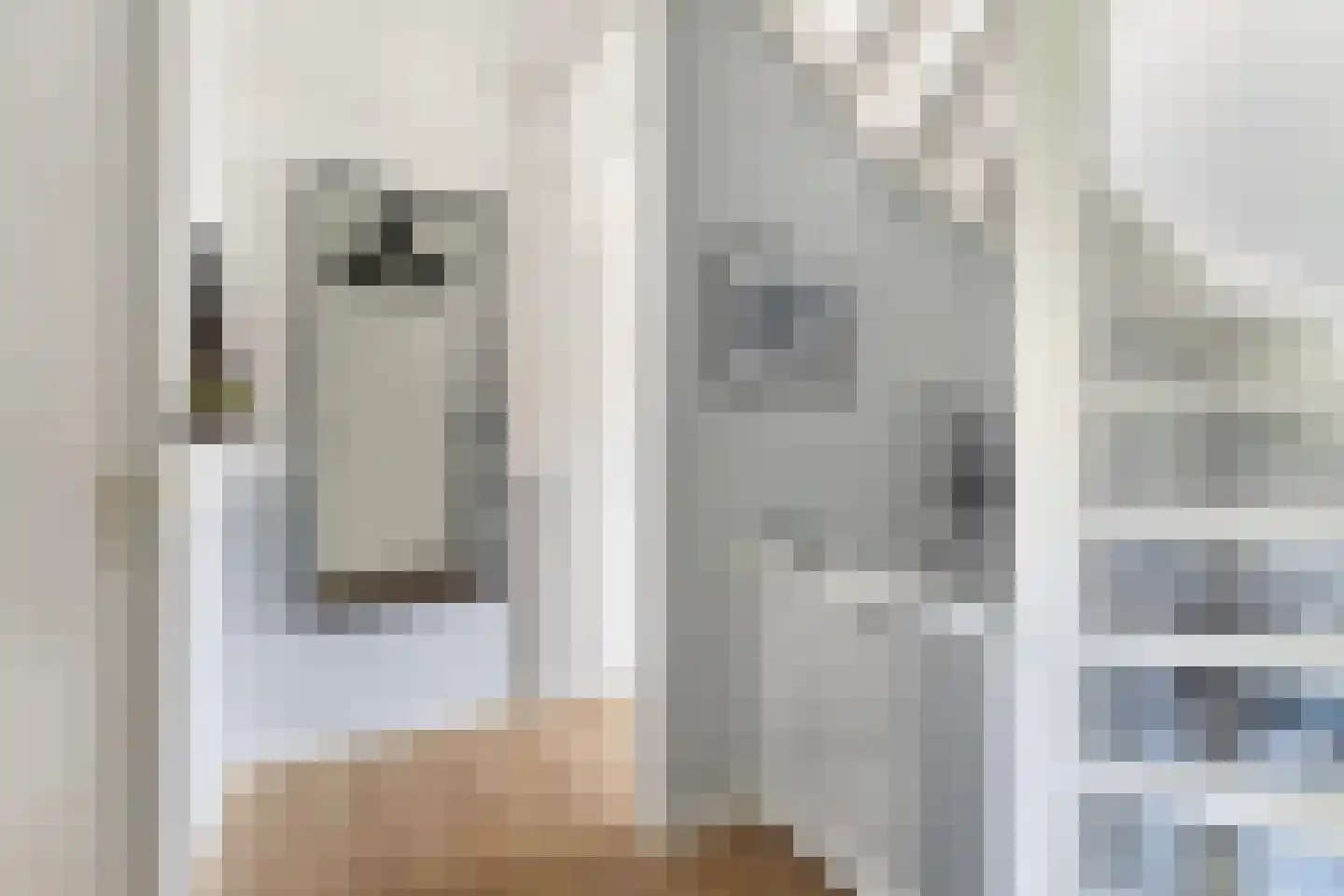 Suite 41 Zwijndrecht thumbnail 18