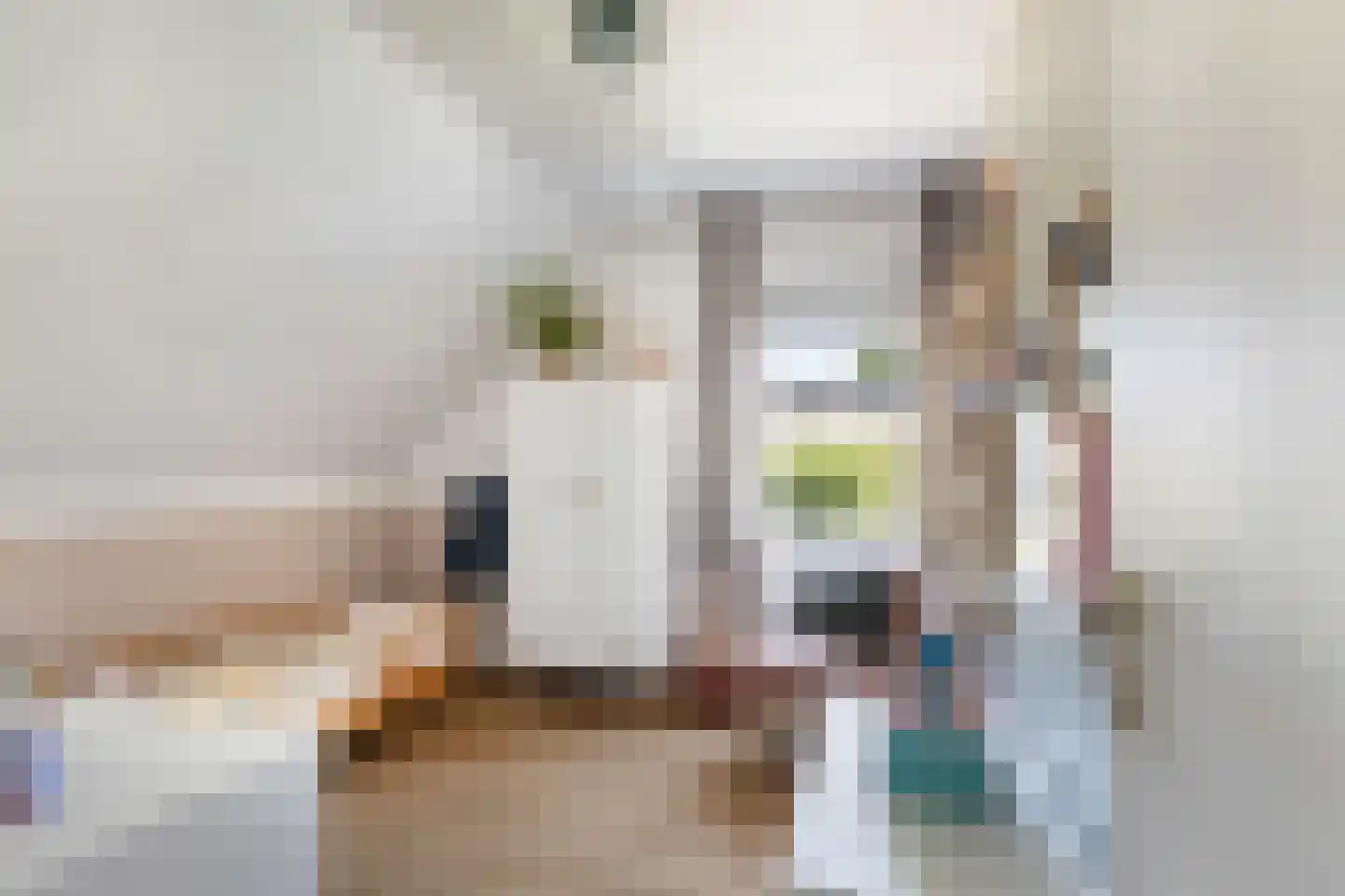 Suite 41 Zwijndrecht thumbnail 20