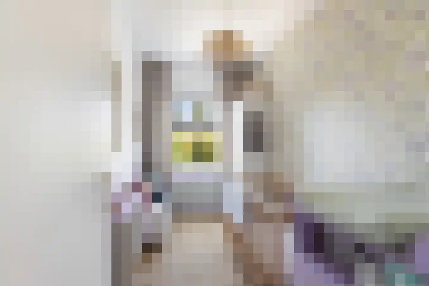 Suite 41 Zwijndrecht thumbnail 22