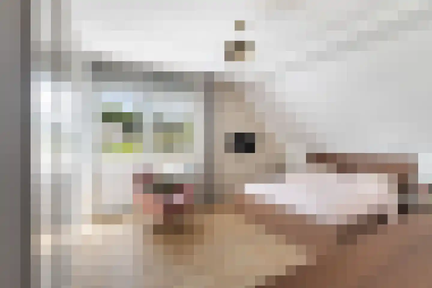 Suite 41 Zwijndrecht thumbnail 23