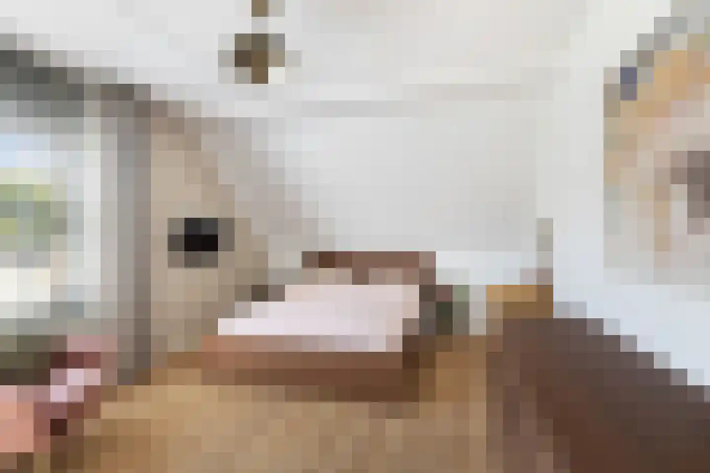 Suite 41 Zwijndrecht thumbnail 24