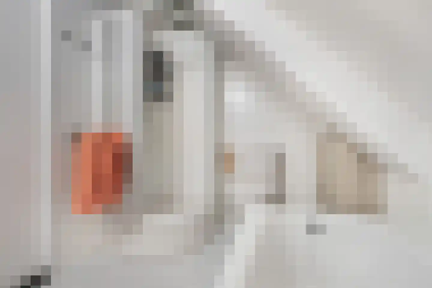 Suite 41 Zwijndrecht thumbnail 29