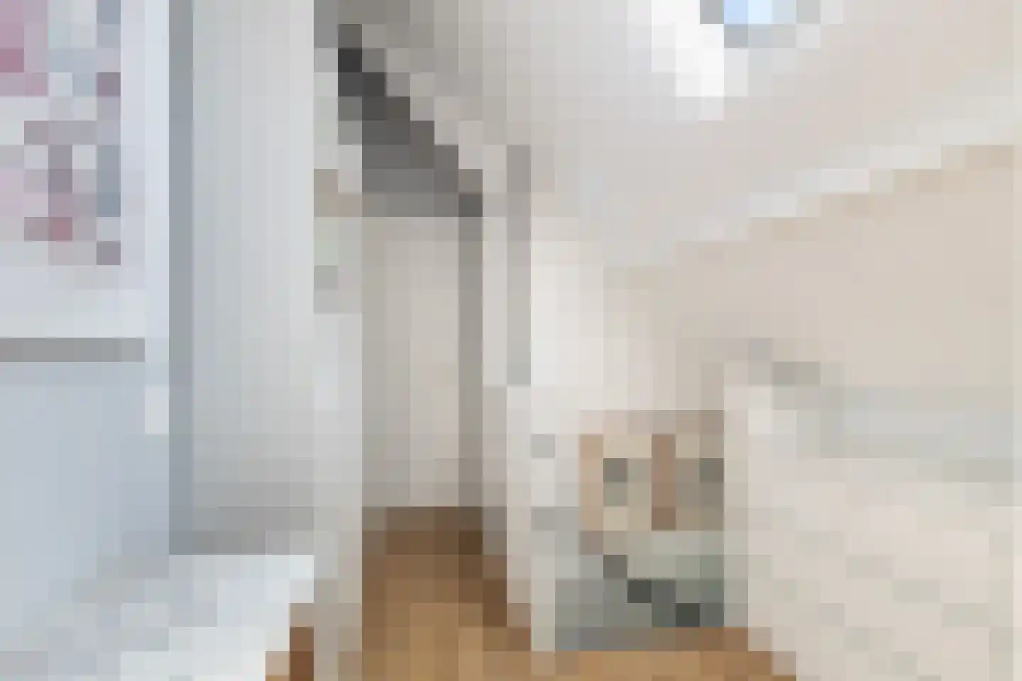 Suite 41 Zwijndrecht thumbnail 31