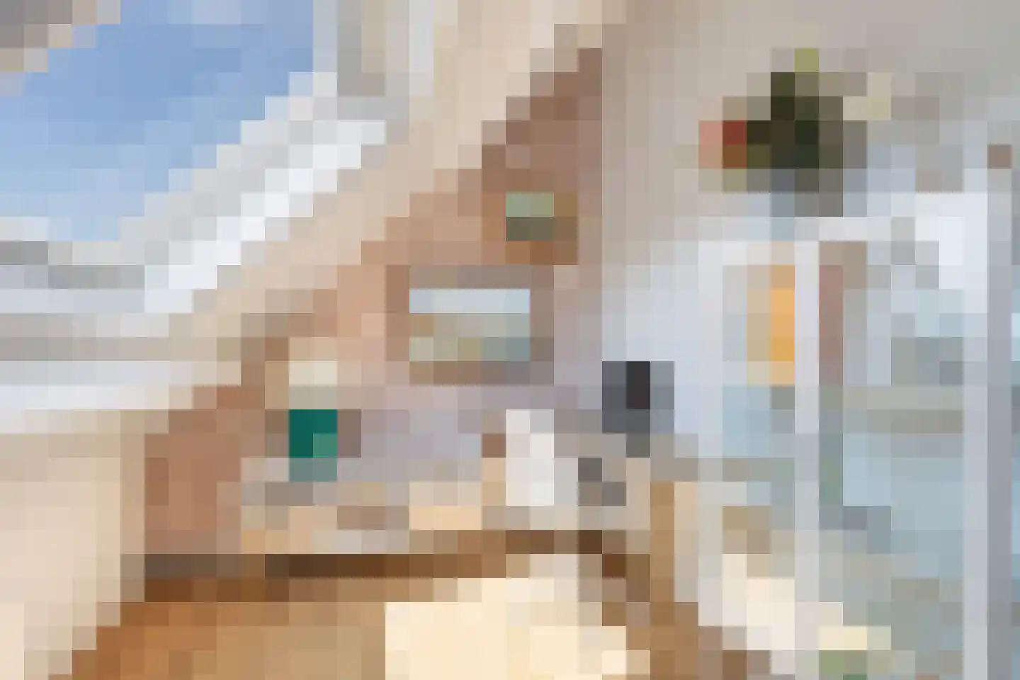 Suite 41 Zwijndrecht thumbnail 35
