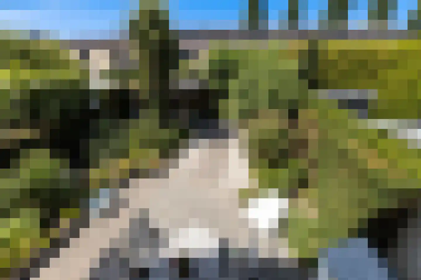 Suite 41 Zwijndrecht thumbnail 42
