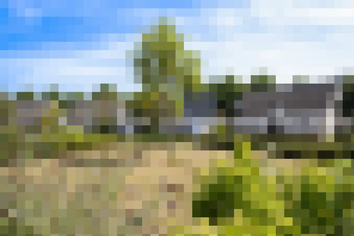 Suite 41 Zwijndrecht thumbnail 43