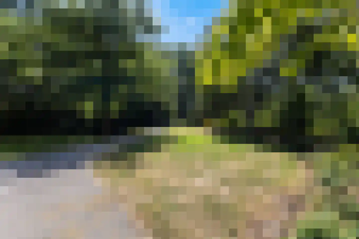 Suite 41 Zwijndrecht thumbnail 44