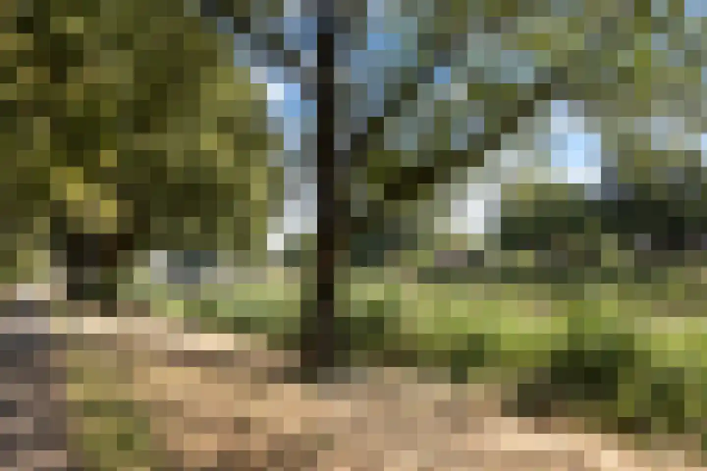 Suite 41 Zwijndrecht thumbnail 45