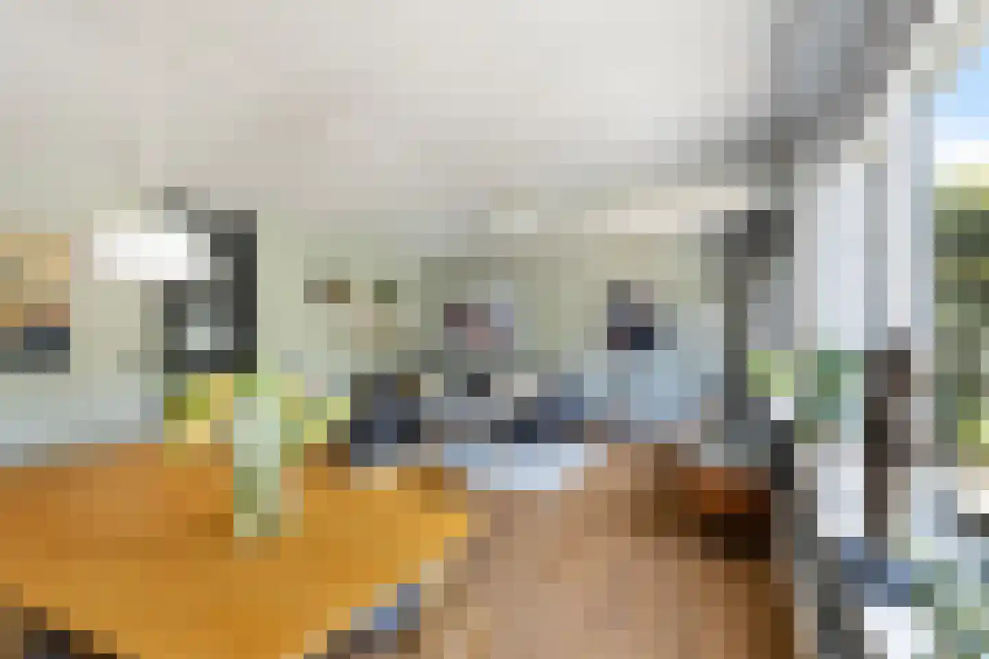 Suite 41 Zwijndrecht thumbnail 8