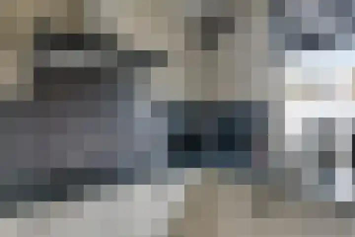 Suite 5 Zwijndrecht thumbnail 12
