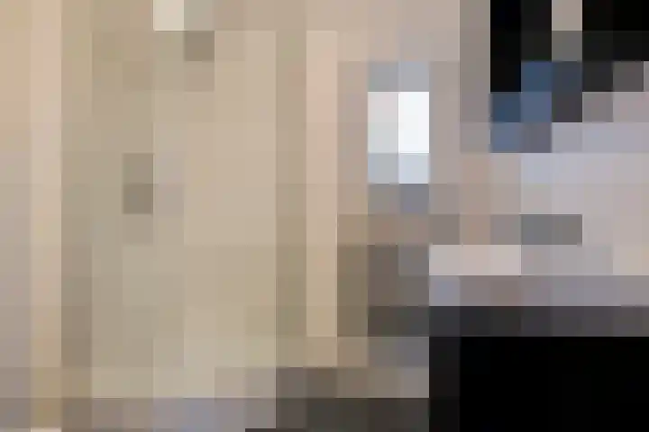 Suite 5 Zwijndrecht thumbnail 14