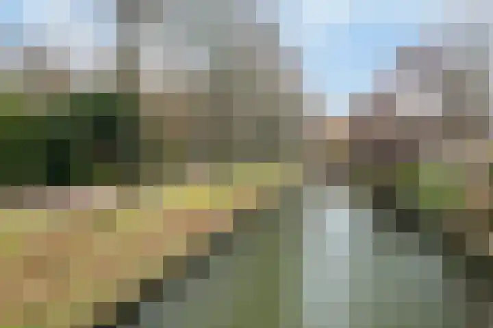 Suite 5 Zwijndrecht thumbnail 22